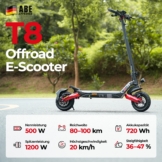 iScooter 1000W T4 Offroad E-Scooter Mit Straßenzulassung (ABE/eKFV)