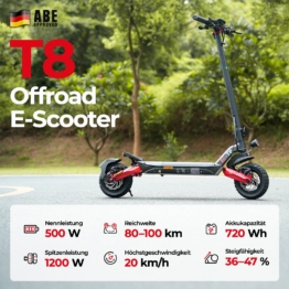 iScooter 1000W T4 Offroad E-Scooter Mit Straßenzulassung (ABE/eKFV)