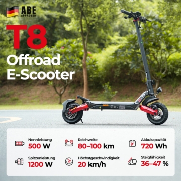 iScooter 1000W T4 Offroad E-Scooter Mit Straßenzulassung (ABE/eKFV)