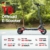 iScooter 1000W T4 Offroad E-Scooter Mit Straßenzulassung (ABE/eKFV)